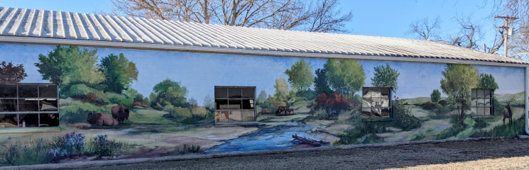 Buffalo in landscape mural located at 2nd & Bell St., Beloit, KS 67420